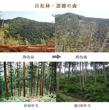 Load image into Gallery viewer, Spruce drop lid (22cm)
