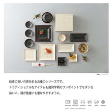 将图片加载到图库查看器，Plate Fukue Long Square Plate M Black 19.5x9.8x1.7cm
