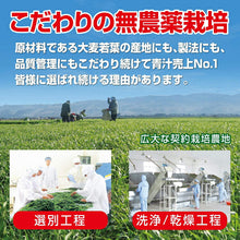 Muat gambar ke penampil Galeri, Yamamoto Kampo 100% Barley Leaf Powder, Measured Type, 170g, Natural Green Juice, Healthy Nutrients
