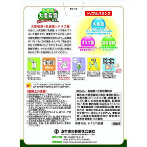 Yamamoto Kampo Lactic Acid Bacteria Plus Barley Grass Powder 4g x 15 sachets, Green Juice with Lactic acid bacteria for Strong Body