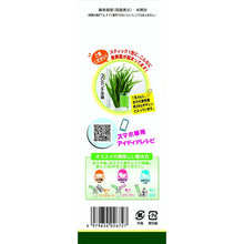 Laden Sie das Bild in den Galerie-Viewer, Yamamoto Kampo Lactic Acid Bacteria Plus Barley Grass Powder 4g x 15 sachets, Green Juice with Lactic acid bacteria for Strong Body
