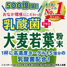 Laden Sie das Bild in den Galerie-Viewer, Yamamoto Kampo Lactic Acid Bacteria Plus Barley Grass Powder 4g x 15 sachets, Green Juice with Lactic acid bacteria for Strong Body

