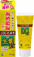 Remedy Fresh Leaf EX (Shoyo EX) Remedy Toothpaste Herb Mint Flavor 100g