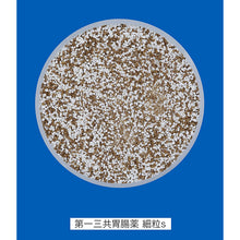 Laden Sie das Bild in den Galerie-Viewer, Gastrointestinal remedy Granules S 12 packs
