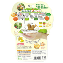 Laden Sie das Bild in den Galerie-Viewer, Leben sales's Noji hand flavored grater green new type condiment grater LCG-01GW

