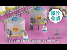 ギャラリービューアHepalyse Plus II 6 Tablets Liver Support Japan Health Supplements for Fatigue Overworkに読み込んでビデオを見る
