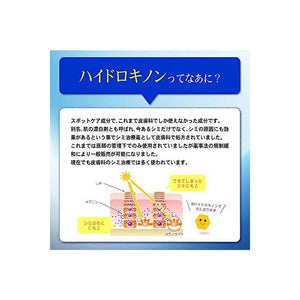 Asahi Laboratory Commercial Use Hydroquinone 10g