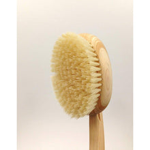 Muat gambar ke penampil Galeri, OHE &amp; Co. Bath-Mate Body Brush Curved Handle Soft
