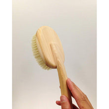 将图片加载到图库查看器，OHE &amp; Co. Bath-Mate Body Brush Curved Handle Soft
