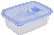 Load image into Gallery viewer, IWASAKI INDUSTRY Smart Flap Container AG+ Rectangular L 2P A-042 LB Blue
