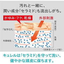 Muat gambar ke penampil Galeri, Curel Moisture Care Shampoo 420ml, Japan No.1 Brand for Sensitive Skin Care (Suitable for Infants/Baby)
