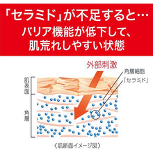 Laden Sie das Bild in den Galerie-Viewer, Curel Moisture Care Bath Milk Refill 420ml, Japan No.1 Brand for Sensitive Skin Care (Suitable for Infants/Baby)
