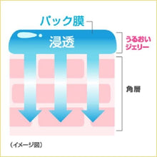 画像をギャラリービューアに読み込む, Biore Moist Jelly Everyday Moist Refill 160ml, Japan Skin Care Lotion
