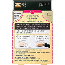 Laden Sie das Bild in den Galerie-Viewer, Kao Sofina Aube Couture Bright Up Eyes 535 Brown
