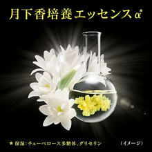 画像をギャラリービューアに読み込む, Kao Sofina Beaute Highly Moisturizing Lotion Moist 140ml
