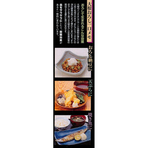 KAI Radish Grater 000DA1204