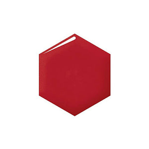 Shiseido Integrate Juicy Balm Gloss RD575 4.5g