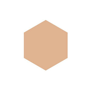 Shiseido Integrate Profnish Foundation ocher 30 (Refill) Dark Skin Color (SPF16 / PA ++) 10g