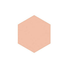 Laden Sie das Bild in den Galerie-Viewer, Shiseido Integrate Gracy Moist Pact EX Pink Ocher 10 (Refill) Light Skin Color (SPF22 / PA ++) 11g
