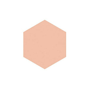 Shiseido Integrate Gracy Moist Pact EX Pink Ocher 10 (Refill) Light Skin Color (SPF22 / PA ++) 11g