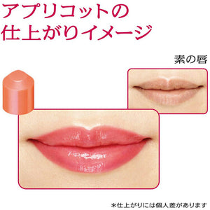 Shiseido Prior Beauty Lift Lip CC N Apricot 4g