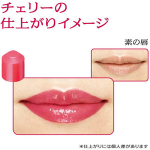 Shiseido Prior Beauty Lift Lip CC N Cherry 4g