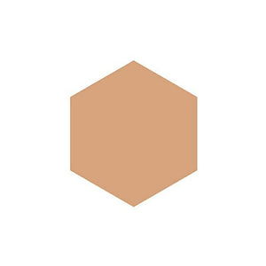 Shiseido Integrate Gracy Essence Powder BB 2 (Refill) Natural ~ Dark Skin Color (SPF22 / PA ++) 7.5g