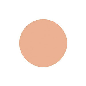 Shiseido Spots Cover Foundation Base Color H100 20g
