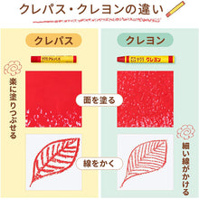 Laden Sie das Bild in den Galerie-Viewer, Sakura Craypas Color Products 16-color  With Rubber Band
