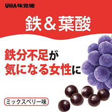 Load image into Gallery viewer, Gummy Supplement Iron and Folic Acid, Acai Flavor 40 Tablets (Quantity for about 20 days)
