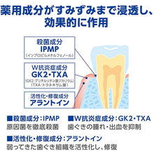 Muat gambar ke penampil Galeri, Dent Health Medicated Dental Rinse 450ml
