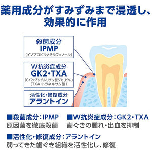 Dent Health Medicated Dental Rinse 450ml