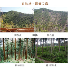 将图片加载到图库查看器，IKEGAWA Wood Sushi Rice Tub Lid 42cm Kiso Cypress Wood
