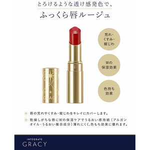 Shiseido Integrate Gracy Premium Rouge BR01 Spice Brown 4g