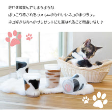 Cargar imagen en el visor de la galería, Coconeko Cat Paw Glass Cup - Kitten Size Tiger 300ml

