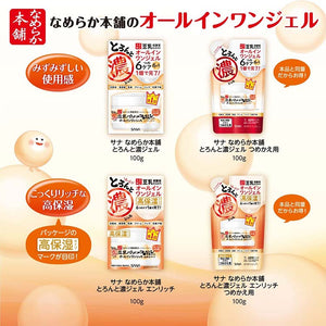 Nameraka Honpo All-in-One Glazed Concentrated Gel 100g Extra Moisturizing Bouncy Skin Care