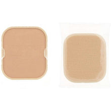 将图片加载到图库查看器，Brightness Sustained Pact EX OC405e Ocher 9.3g
