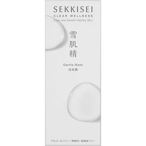 Kose Sekkisei Clear Wellness Gentle Wash 160ml Japan Beauty Whitening Moist Facial Cleansing Foam