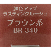 Cargar imagen en el visor de la galería, Kose Elsia Platinum Complexion Up Lasting Rouge Brown Type BR340 5g
