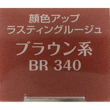 Load image into Gallery viewer, Kose Elsia Platinum Complexion Up Lasting Rouge Brown Type BR340 5g
