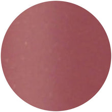 画像をギャラリービューアに読み込む, Kose Elsia Platinum Complexion Up Lasting Rouge Pink Type PK832 5g
