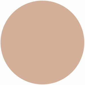 Kose Elsia Platinum BB Powder Foundation with Case Pink Ocher 205 10g