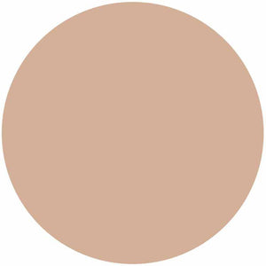 Kose Elsia Platinum BB Powder Foundation Refill Pink Ocher 205 10g