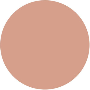 Kose Elsia Platinum Moist Cover Foundation Refill 205 Pink Ocher Slightly Bright Reddish Skin Color Refill 10g