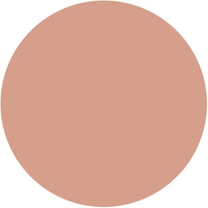 Kose Elsia Platinum Moist Cover Foundation Refill 205 Pink Ocher Slightly Bright Reddish Skin Color Refill 10g