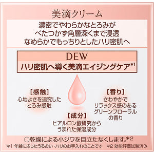 Kanebo DEW Cream 30g