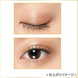 Kanebo Coffret D'or Eye Gloss Contour Eye Shadow 01 Glow Brown