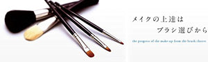 Made In Japan Slide Eye Shadow Make-Up Cosmetics Tip (PS-10)
