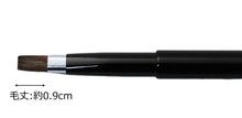 Cargar imagen en el visor de la galería, Made In Japan Lip Brush Auto-type Make-up Cosmetics Use Black (No.810BK)
