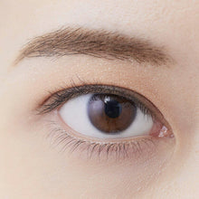 将图片加载到图库查看器，Chifure Gradation Eye Shadow 72 Warm Terracotta Orange Brown (Popular) 1 piece Elegant Daily Makeup 3D Eyes
